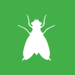  White vector graphic of a gnat on a green background. 